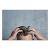 Betco Foaming Hand, Hair and Body Shampoo, Fresh, 1,000 mL, 6PK 7532900